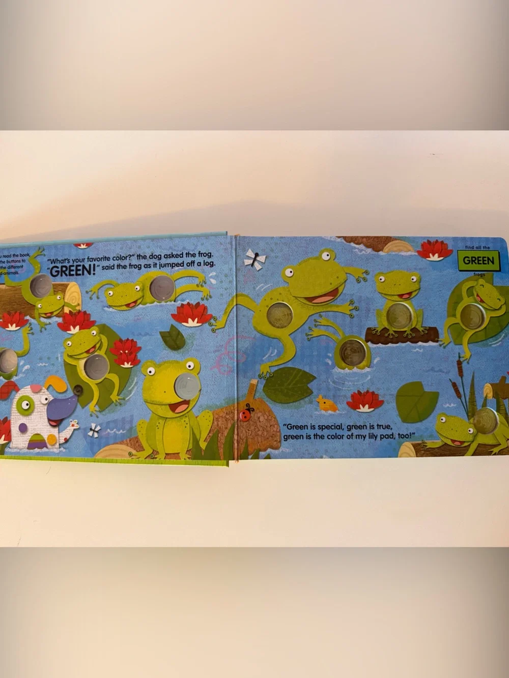 Poke a Dot Book: What’s Your Favorite Color?